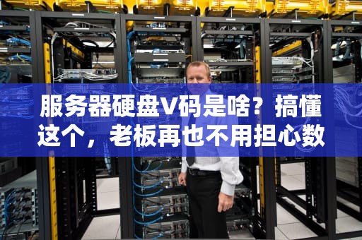 服务器硬盘V码是啥？搞懂这个，老板再也不用担心数据“翻车”啦！
