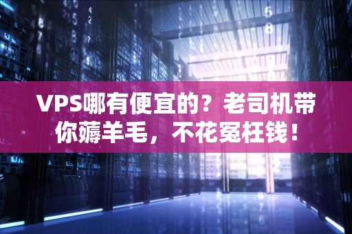 VPS哪有便宜的？老司机带你薅羊毛，不花冤枉钱！