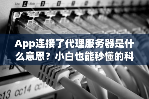 App连接了代理服务器是什么意思？小白也能秒懂的科普指南！