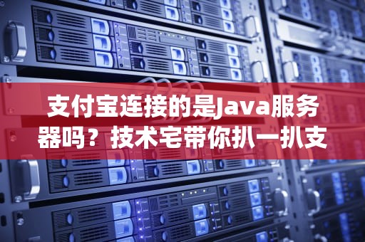 支付宝连接的是Java服务器吗？技术宅带你扒一扒支付巨头的“后台”