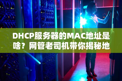 DHCP服务器的MAC地址是啥？网管老司机带你揭秘地址发卡员的身份证！