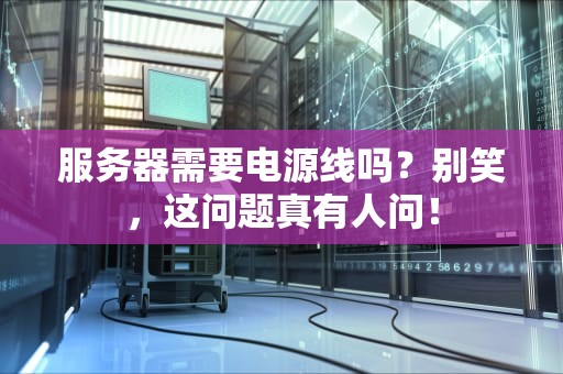 服务器需要电源线吗？别笑，这问题真有人问！