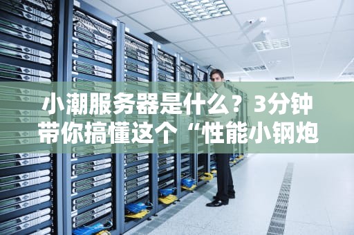 小潮服务器是什么？3分钟带你搞懂这个“性能小钢炮”！