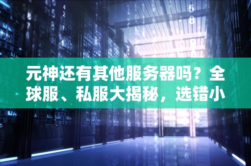 元神还有其他服务器吗？全球服、私服大揭秘，选错小心被封号！