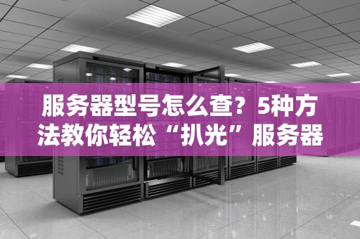 服务器型号怎么查？5种方法教你轻松“扒光”服务器的底裤！
