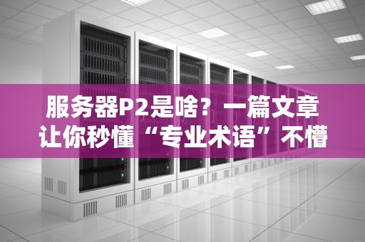 服务器P2是啥？一篇文章让你秒懂“专业术语”不懵逼！