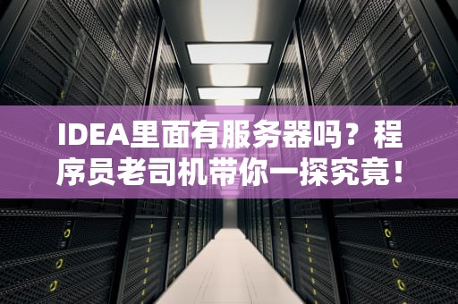 IDEA里面有服务器吗？程序员老司机带你一探究竟！