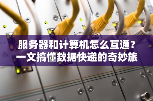 服务器和计算机怎么互通？一文搞懂数据快递的奇妙旅程！