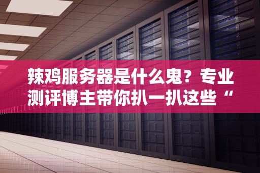 辣鸡服务器是什么鬼？专业测评博主带你扒一扒这些“电子土豆”的真相！