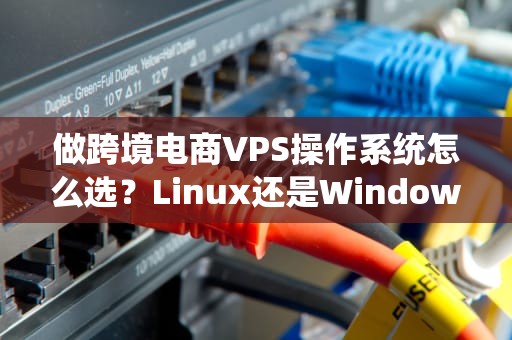 做跨境电商VPS操作系统怎么选？Linux还是Windows？老司机带你避坑！