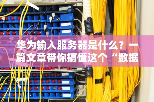 华为输入服务器是什么？一篇文章带你搞懂这个“数据搬运工”