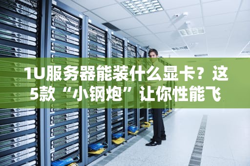 1U服务器能装什么显卡？这5款“小钢炮”让你性能飞起！