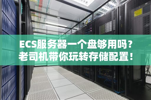 ECS服务器一个盘够用吗？老司机带你玩转存储配置！