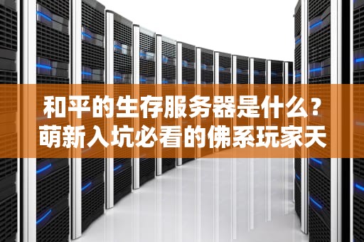 和平的生存服务器是什么？萌新入坑必看的佛系玩家天堂！