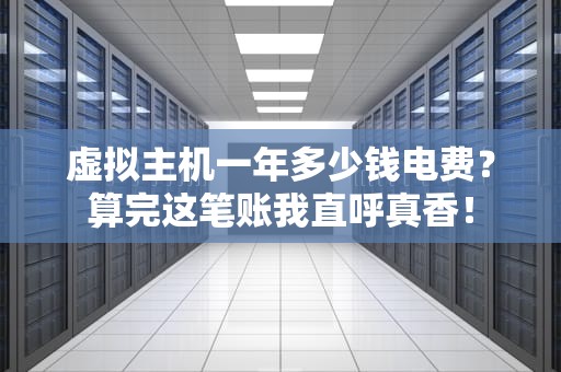 虚拟主机一年多少钱电费？算完这笔账我直呼真香！