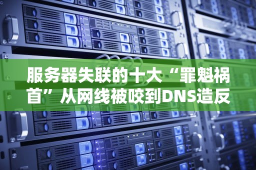服务器失联的十大“罪魁祸首”从网线被咬到DNS造反的爆笑真相！