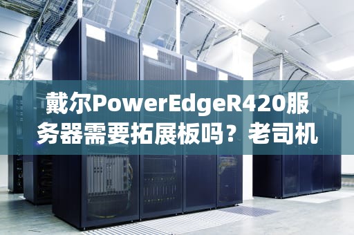 戴尔PowerEdgeR420服务器需要拓展板吗？老司机带你避坑！