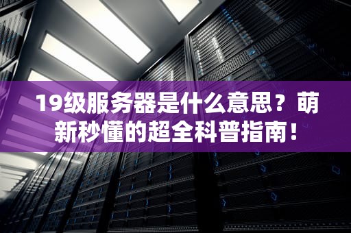 19级服务器是什么意思？萌新秒懂的超全科普指南！