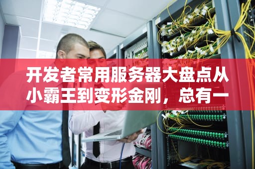开发者常用服务器大盘点从小霸王到变形金刚，总有一款适合你！
