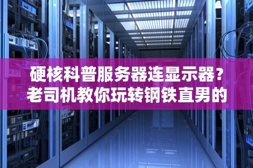 硬核科普服务器连显示器？老司机教你玩转钢铁直男的浪漫约会！