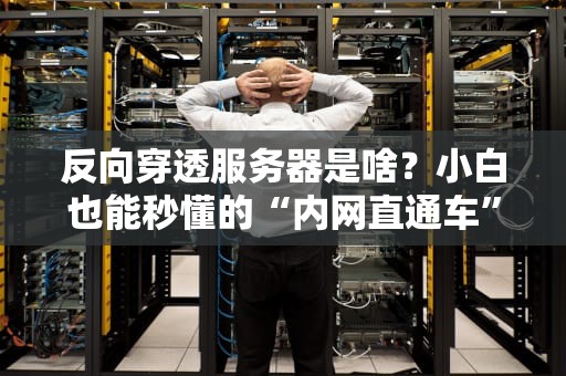 反向穿透服务器是啥？小白也能秒懂的“内网直通车”指南！