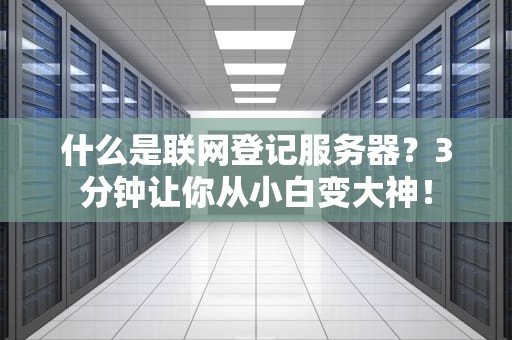 什么是联网登记服务器？3分钟让你从小白变大神！