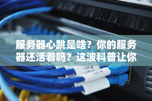 服务器心跳是啥？你的服务器还活着吗？这波科普让你秒懂！