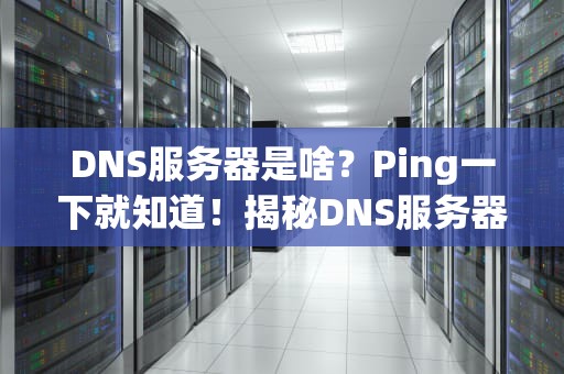 DNS服务器是啥？Ping一下就知道！揭秘DNS服务器的神奇作用