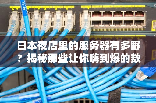 日本夜店里的服务器有多野？揭秘那些让你嗨到爆的数字心脏！