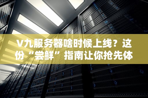 V九服务器啥时候上线？这份“尝鲜”指南让你抢先体验未来算力！
