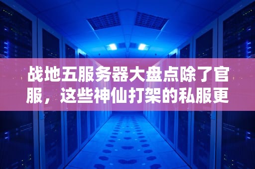 战地五服务器大盘点除了官服，这些神仙打架的私服更上头！