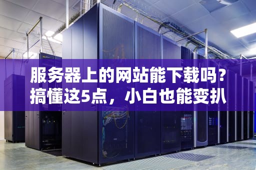 服务器上的网站能下载吗？搞懂这5点，小白也能变扒站大神！