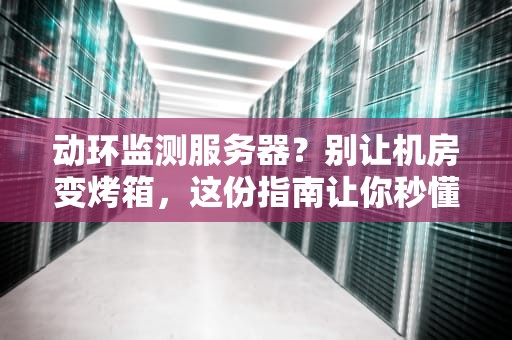 动环监测服务器？别让机房变烤箱，这份指南让你秒懂！
