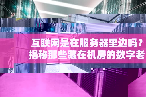 互联网是在服务器里边吗？揭秘那些藏在机房的数字老黄牛！