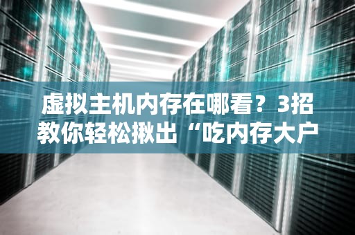 虚拟主机内存在哪看？3招教你轻松揪出“吃内存大户”！