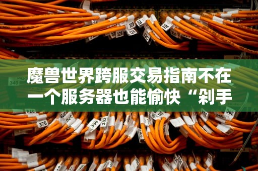 魔兽世界跨服交易指南不在一个服务器也能愉快“剁手”吗？