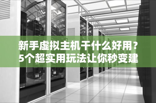 新手虚拟主机干什么好用？5个超实用玩法让你秒变建站达人！