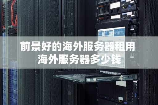 前景好的海外服务器租用 海外服务器多少钱