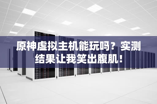 原神虚拟主机能玩吗？实测结果让我笑出腹肌！