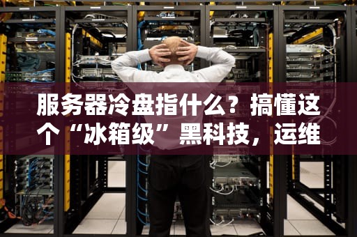 服务器冷盘指什么？搞懂这个“冰箱级”黑科技，运维不再头秃！