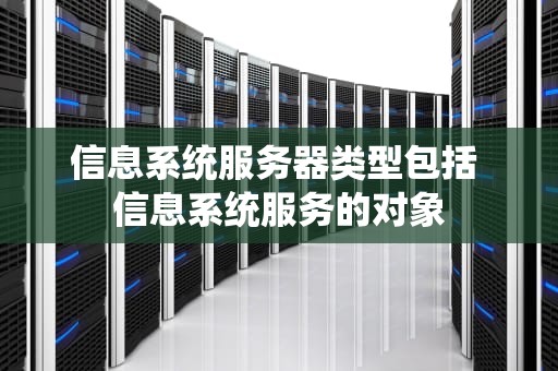 信息系统服务器类型包括 信息系统服务的对象