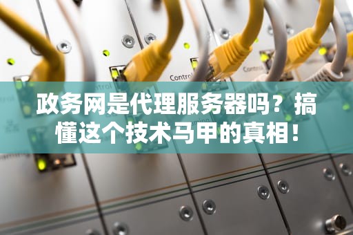 政务网是代理服务器吗？搞懂这个技术马甲的真相！