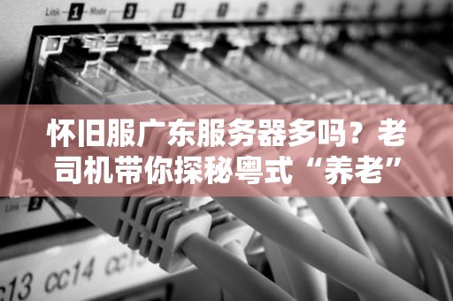 怀旧服广东服务器多吗？老司机带你探秘粤式“养老”胜地！