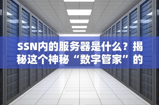 SSN内的服务器是什么？揭秘这个神秘“数字管家”的日常！