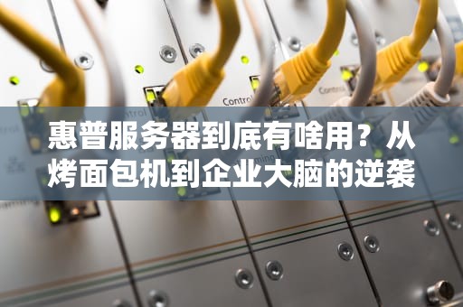 惠普服务器到底有啥用？从烤面包机到企业大脑的逆袭之路！