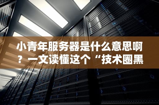 小青年服务器是什么意思啊？一文读懂这个“技术圈黑话”的来龙去脉！