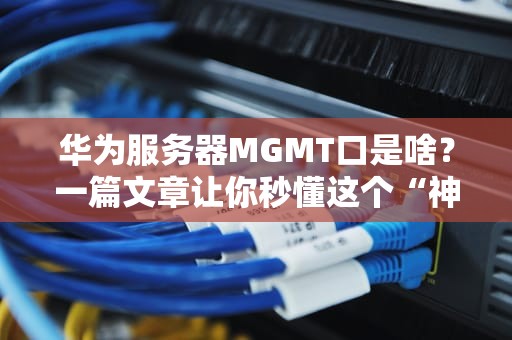 华为服务器MGMT口是啥？一篇文章让你秒懂这个“神秘接口”的妙用！