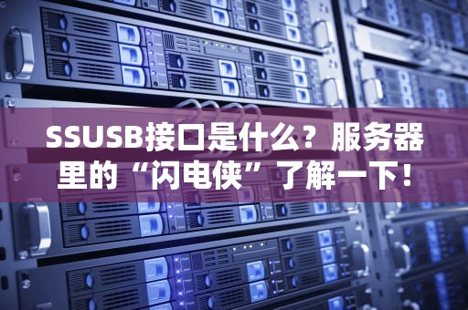 SSUSB接口是什么？服务器里的“闪电侠”了解一下！