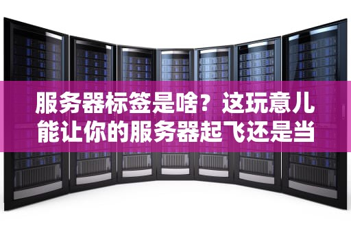 服务器标签是啥？这玩意儿能让你的服务器起飞还是当机？