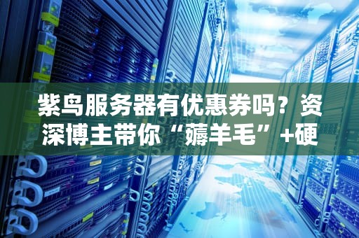 紫鸟服务器有优惠券吗？资深博主带你“薅羊毛”+硬核测评！